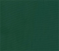 Cotton Canvas 58” Wide - Forest